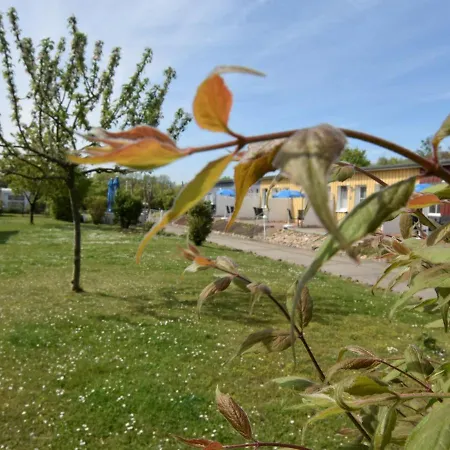 아파트 Charmante Mit Garten In Wiek *