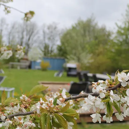 Charmante Mit Garten In Wiek *