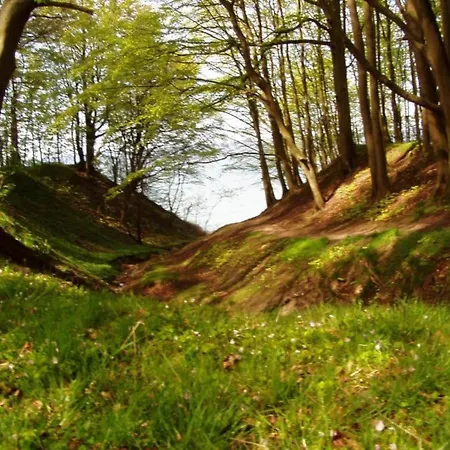 Charmante Mit Garten In Wiek *