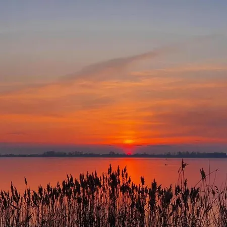 Apartment Charmante Mit Garten In Wiek